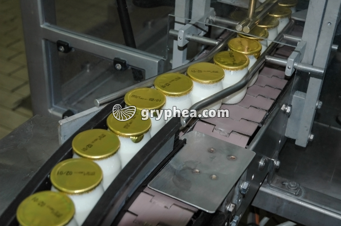 Fabrication des yaourts - Yaourts dans chaîne de traitement - gryphea.com